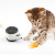 Cross-Border Supplies Amazon Factory Wholesale Funny Cat Catnip Ball Badminton Cat Balance Car Toy