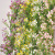 Artificial Plant Starry Rattan Wedding Flower Vine Cane Fake Flower Furnishings Decoration Decoration Supplies Plastic 