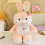 2022 New Products in Stock Internet Celebrity Strawberry Rabbit Doll Creative Plush Toy Rabbit Doll Children's Birthday Gifts