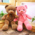 Cute Teddy Bear Huggy Bear Doll Bear Pillow Rag Doll Small Plush Toy for Free Female Students
