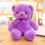 Cute Teddy Bear Huggy Bear Doll Bear Pillow Rag Doll Small Plush Toy for Free Female Students