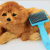 Professional Production, PET Plastic Needle Comb, Pet Comb, Pet Hair Unknotting Comb, Pet Bath Comb