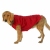 Pet Supplies Winter Clothing, 14 Colors, from 2 Jin to 80 Jin Size, in Stock Wholesale
