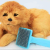 Professional Production, PET Plastic Needle Comb, Pet Comb, Pet Hair Unknotting Comb, Pet Bath Comb