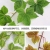 Artificial Flower Ivy Rattan Plant Decorative Plastic Fake Flower Vine Leaves Water Pipe Covering Ceiling Supplies