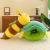 Internet Celebrity Same Style Turtle Shell Wearable Doll Clothes Sleeping Pillow Turtle Honey Doll Factory Direct Sales