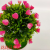 Artificial/Fake Flower Bonsai Plastic Basin Small Flower Living Room Dining Room Office and Other Ornaments
