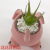 Artificial/Fake Flower Bonsai Ceramic Basin Puppy Succulent Office Living Room Dressing Table and Other Ornaments