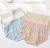 [3 Pack] Manna 2250 Women's Modal Wide Waist Silk Comfortable Quality Underwear