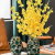 New Chinese Ceramic Pineapple Vase Hotel Restaurant Desktop Flower Arrangement Hydroponic Flowers Flower Decoration Living Room Decorations