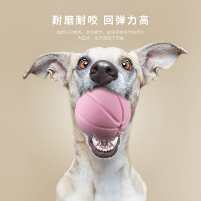 New Pet Food Dropping Ball Sound Training Molar Teeth Cleaning Dog Toothbrush Throwing Bite Training Pet Dog Toy