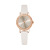 C006 New Watch Women's Diamond Small Dial Fashion Women's Casual Trend Quartz Watch Live Supply