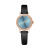 C006 New Watch Women's Diamond Small Dial Fashion Women's Casual Trend Quartz Watch Live Supply