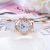 WeChat Hot-Selling TikTok Rhinestone Belt Watch Women's Fashion Trend Luminous Quartz Women's Student Watch Wholesale