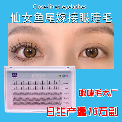 Eyelash Five Rows of Fairy Fishtail Grafting Eyelashes from Grafting Planting Eyelashes Mixed