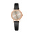 C006 New Watch Women's Diamond Small Dial Fashion Women's Casual Trend Quartz Watch Live Supply