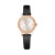 C006 New Watch Women's Diamond Small Dial Fashion Women's Casual Trend Quartz Watch Live Supply