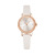 C006 New Watch Women's Diamond Small Dial Fashion Women's Casual Trend Quartz Watch Live Supply