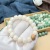Factory Wholesale Bodhi Bracelet Pliable Temperament White Jade Bodhi Gradient Barrel Beads Crafts Buddha Beads Rosary for Men and Women