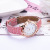 WeChat Hot-Selling TikTok Rhinestone Belt Watch Women's Fashion Trend Luminous Quartz Women's Student Watch Wholesale