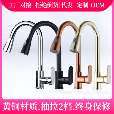 Copper Flat Tee Kitchen Vegetable Basin Sink Rotating Retractable Hot and Cold Pull-out Faucet