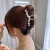 Romantic Ocean Bubble Grip 2022 New High Sense Super Fairy Tassel Large Shark Clip Hairware Hair Accessories