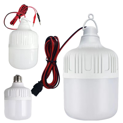 Dc12v Bulb Low Voltage Globe with Wire 12V Bulb with Battery Clip Gao Fushuai