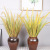 [Oulifei] Reed Artificial Flower Wholesale Fake Reed Pot Dogtail Grass Shop Window Decoration Ornaments