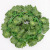 Wholesale Small Artificial Plants Green Leaves Artificial Flowers Ivy Ivy Pieces Artificial Green Leaf Vine Decoration Supplies