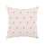 Cross-Border Amazon Modern Simple Ins Embroidery Pillow Cover Model Room Home Living Room Sofa Cushion Cover Wholesale