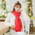 Artificial Cashmere Scarf Women's Korean-Style Autumn and Winter Keep Warm Pure Color Annual Meeting Gifts Red Cashmere Scarf Tassel Shawl Wholesale