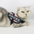 Sy005 Cat Chest Strap Cat Leash Hand Holding Rope Pet Hand Holding Rope with Chest Back Velcro Pet Supplies