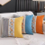 2022 New Couch Pillow Cored Office Siesta Appliance Throw Pillowcase Waist Pillow Bed Head Backrest Cushion Pillow Cover