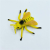 Low Price Supply Factory Direct Sales Plastic PVC Simulation Insect Model Sand Table Decoration Children's Cognition Scientific and Educational Toy