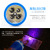 Factory Direct Sales Rechargeable Purple Light Money Detector LED Flashlight Household Emergency Lighting Strong Light Mini Small Flashlight