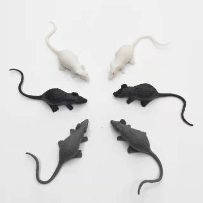 Low Price Supply Factory Direct Sales Plastic PVC Simulation Mouse Model Science and Education Children's Cognitive Halloween Accessories