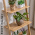 Bookshelf Nordic Trapezoidal Shelf Living Room Wall Shelf Wall Shelf Multi-Layer Floor Flower Stand Balcony Corner Shelf