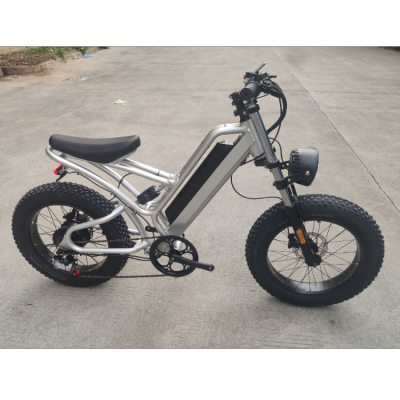 Factory Direct Sales New Snow Electric Bike, Mini Electric Motorcycle,