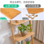 Flower Stand Floor Indoor Multi-Layer Flower Rack Balcony Living Room Succulent Stand Trapezoidal Shelf Wall-Mounted Bracket Creative Shelves