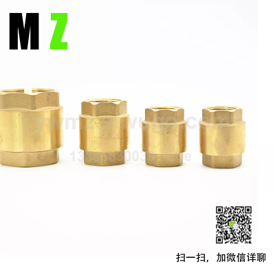 Wholesale High Quality More than Brass Check Valve Sizes Water Chrome Internal Rotary Check Valve