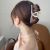 Oversized Jelly Color Grip Hair Volume Multi-Head Shark Clip Korean Ins Online Influencer Refined New Hairpin Female