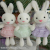 toysStall Plush Toys Crane Machines Figurine Doll Wedding Sprinkle Doll Package Gift Package Small Gifts Wholesale