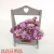 Artificial/Fake Flower Bonsai Wood Frame Wall Hanging Small Flower Living Room Restaurant and Cafe and Other Ornaments