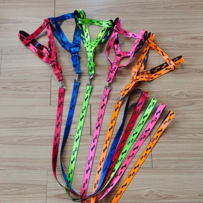 Pet Supplies Collar Pet Tread Collar Size and Specifications Complete Pet Hand Holding Rope