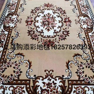 Woven Carpet Wilton Carpet Hot Sale Carpet 200 × 300cm