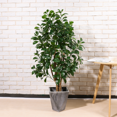 Style Indoor Home Decoration Peperomia Tetraphylla Green Leaf Plant Pot Simulation Plastic Fake Trees Plant Bonsai