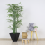  Greene Bonsai Export Cross-Border Imitation Bamboo Potted Indoor Home Floor-Standing Decorations Decoration Fake Trees