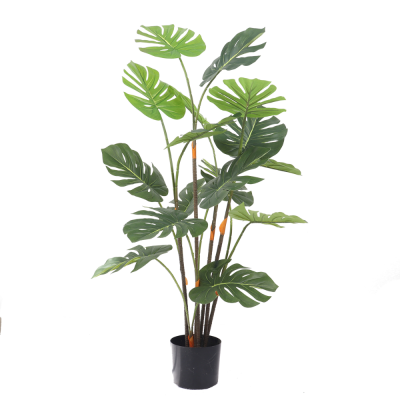 Green Back Simulation Plant Flower Green Plant Pot Back of Turtle Bamboo Indoor Pastoral Style Decorative Bonsai