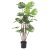 Green Back Simulation Plant Flower Green Plant Pot Back of Turtle Bamboo Indoor Pastoral Style Decorative Bonsai