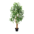 Style Indoor Home Decoration Peperomia Tetraphylla Green Leaf Plant Pot Simulation Plastic Fake Trees Plant Bonsai